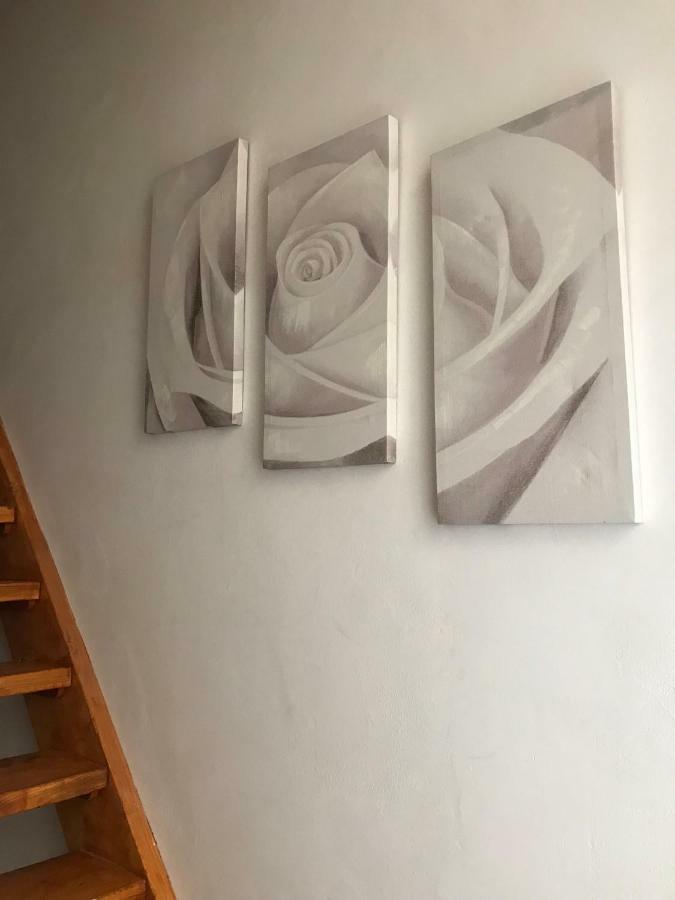 Il Nido - Cozy Studio Apartment In Santa Croce Firenze Eksteriør billede